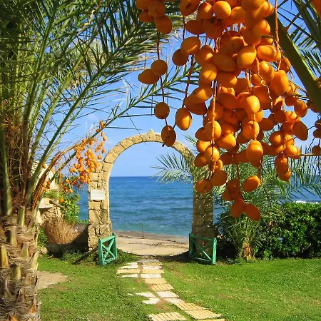Topset Seafront